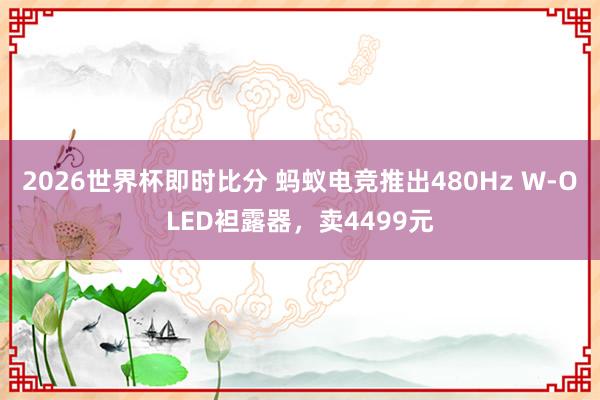 2026世界杯即时比分 蚂蚁电竞推出480Hz W-OLED袒露器,卖4499元