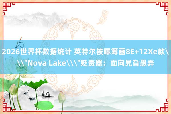 2026世界杯数据统计 英特尔被曝筹画8E+12Xe款\