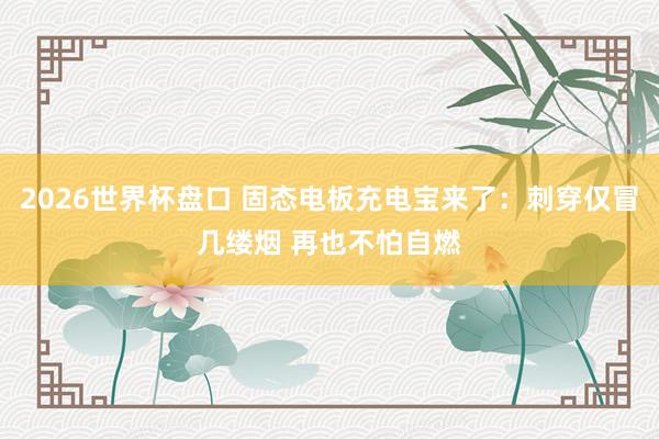 2026世界杯盘口 固态电板充电宝来了:刺穿仅冒几缕烟 再也不怕自燃