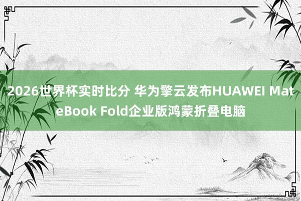 2026世界杯实时比分 华为擎云发布HUAWEI MateBook Fold企业版鸿蒙折叠电脑