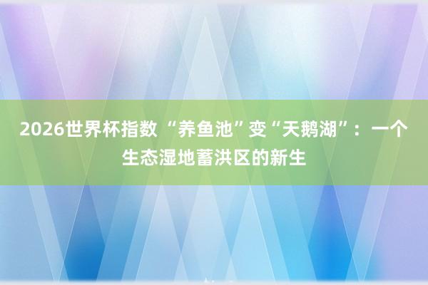 2026世界杯指数 “养鱼池”变“天鹅湖”:一个生态湿地蓄洪区的新生