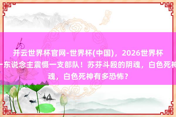 开云世界杯官网-世界杯(中国),2026世界杯文字直播 一东说念主震慑一支部队!苏芬斗殴的阴魂,白色死神有多恐怖?