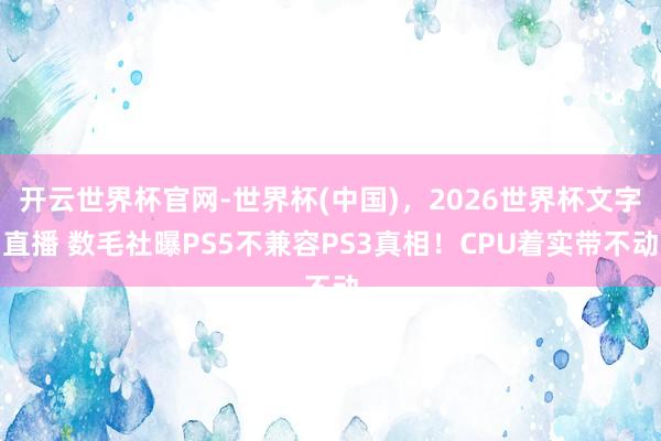 开云世界杯官网-世界杯(中国),2026世界杯文字直播 数毛社曝PS5不兼容PS3真相!CPU着实带不动