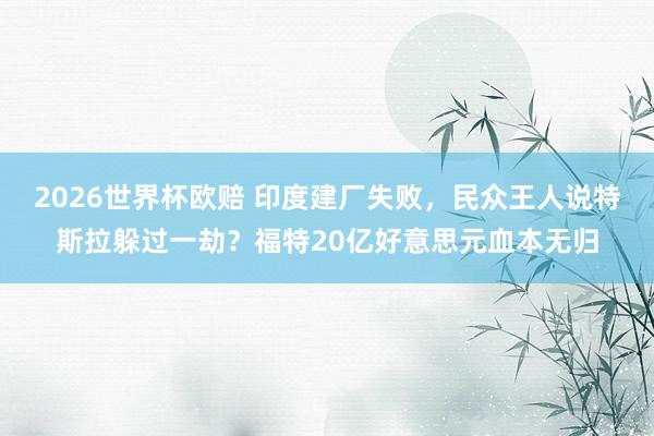 2026世界杯欧赔 印度建厂失败,民众王人说特斯拉躲过一劫?福特20亿好意思元血本无归