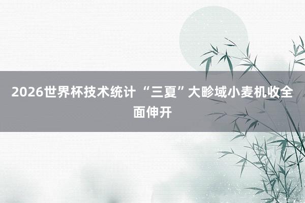 2026世界杯技术统计 “三夏”大畛域小麦机收全面伸开