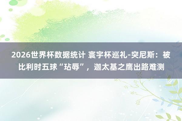 2026世界杯数据统计 寰宇杯巡礼-突尼斯:被比利时五球“玷辱”,迦太基之鹰出路难测