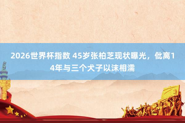2026世界杯指数 45岁张柏芝现状曝光，仳离14年与三个犬子以沫相濡