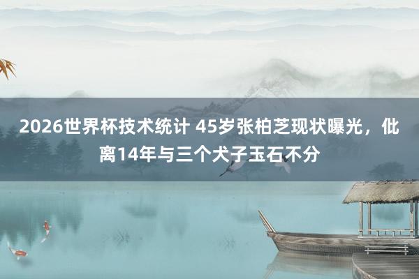 2026世界杯技术统计 45岁张柏芝现状曝光,仳离14年与三个犬子玉石不分