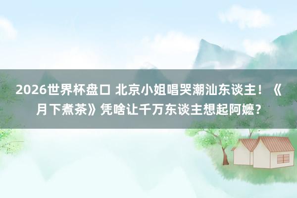 2026世界杯盘口 北京小姐唱哭潮汕东谈主!《月下煮茶》凭啥让千万东谈主想起阿嬷?