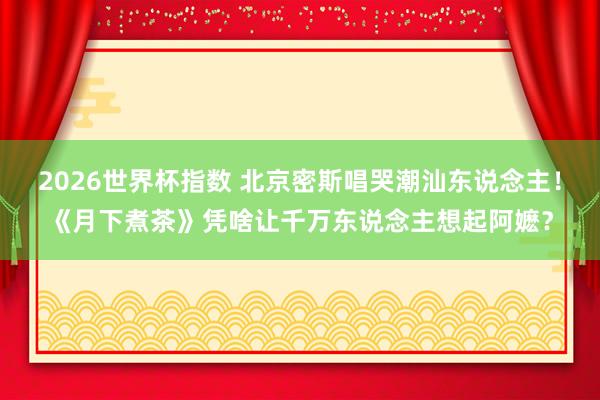 2026世界杯指数 北京密斯唱哭潮汕东说念主!《月下煮茶》凭啥让千万东说念主想起阿嬷?