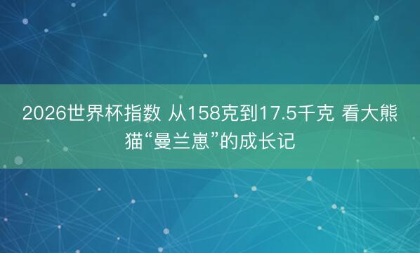 2026世界杯指数 从158克到17.5千克 看大熊猫“曼兰崽”的成长记