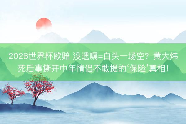 2026世界杯欧赔 没遗嘱=白头一场空?黄大炜死后事撕开中年情侣不敢提的‘保险’真相!