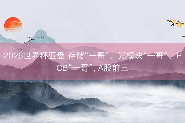2026世界杯亚盘 存储“一哥”、光模块“一哥”、PCB“一哥”, A股前三