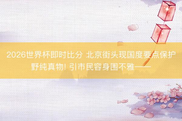 2026世界杯即时比分 北京街头现国度要点保护野纯真物! 引市民容身围不雅——