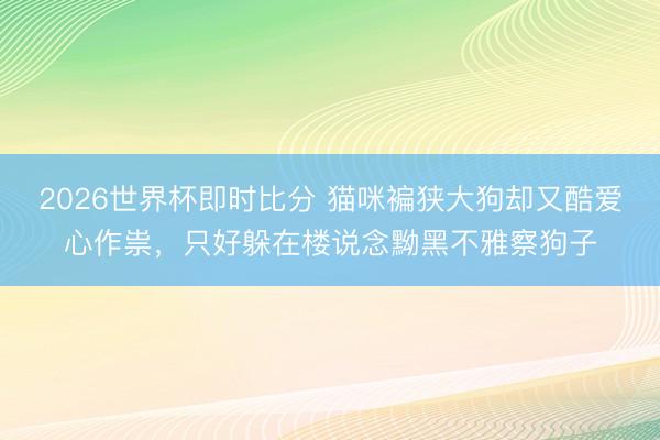 2026世界杯即时比分 猫咪褊狭大狗却又酷爱心作祟,只好躲在楼说念黝黑不雅察狗子