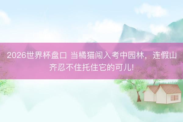 2026世界杯盘口 当橘猫闯入考中园林,连假山齐忍不住托住它的可儿!