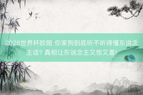2026世界杯欧赔 你家狗到底听不听得懂东说念主话? 真相让东说念主又惊又喜!