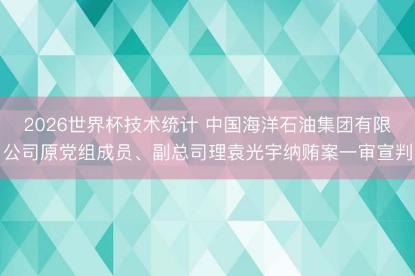 2026世界杯技术统计 中国海洋石油集团有限公司原党组成员、副总司理袁光宇纳贿案一审宣判